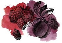 Пиво Sour Boysenberry Plum