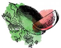 Пиво Sour Bradford Watermelon