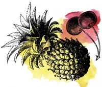Пиво Sour Cherry Pineapple