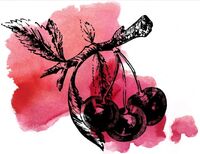 Пиво Sour Cherry