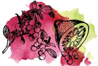 Пиво Sour Cranberry Lime