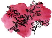 Пиво Sour Cranberry