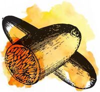 Пиво Sour Curuba Пиво Sour Curuba