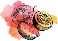 Пиво Sour Guava Mango Passionfruit