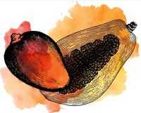 Пиво Sour Mango Papaya