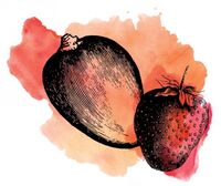 Пиво Sour Mango Strawberry