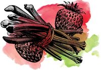 Пиво Sour Strawberry Rhubarb