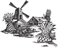 Пиво The Pineapple Farm