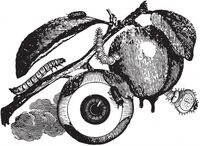 Пиво The Ripening