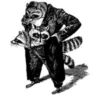 Пиво Three Raccoons In A Trench Coat