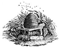 Пиво Well Worn Path