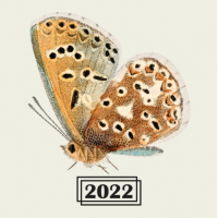 Пиво Brett Series - Bière De Blé 2022 Пиво Brett Series - Bière De Blé 2022