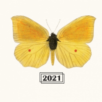 Пиво Brett Series - Bière De Blé à L'ananas 2021 - Lambicus Пиво Brett Series - Bière De Blé à L'ananas 2021 - Lambicus