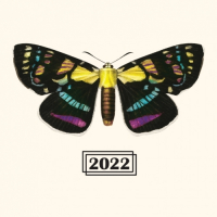 Пиво Brett Series - Bière De Blé à La Betterave Et à La Poire 2022 Пиво Brett Series - Bière De Blé à La Betterave Et à La Poire 2022