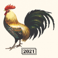 Пиво Brett Series - Du Coq à L'Ane - Claussenii Пиво Brett Series - Du Coq à L'Ane - Claussenii