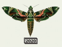 Пиво Brett Series - Saison - Bruxellensis Trois Vrai