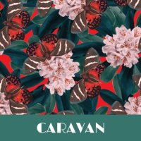 Пиво Caravan - Double IPA Пиво Caravan - Double IPA