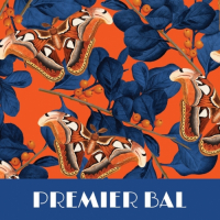 Пиво Premier Bal - New England IPA Пиво Premier Bal - New England IPA