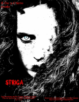 Пиво Striga