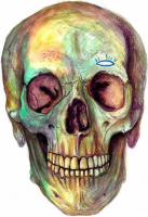 Пиво Apocalypse Black IPA