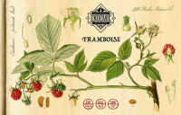 Пиво Framboise