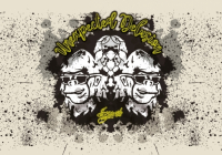 Пиво Unexpected Delusion