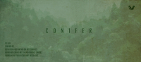 Пиво Conifer (2020)
