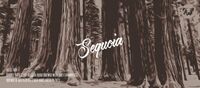 Пиво Sequoia