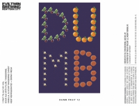 Пиво DUMB FRUIT 12 - PLUM, TANGERINE, VANILLA, SOUR TANGERINE CANDY