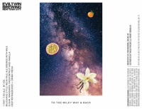 Пиво TO THE MILKY WAY AND BACK - MANDARIN, PASSION FRUIT, VANILLA