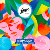 Пиво À La Dérive