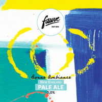 Пиво Bonne Ambiance