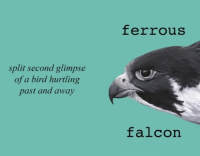 Пиво Split Second Glimpse of A Bird Hurtling Past And Away