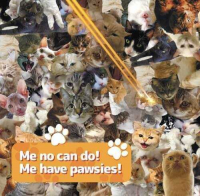 Пиво Me No Can Do! Me Have Pawsies!