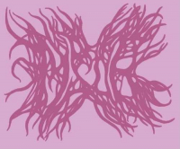 Пиво MSDB: Most Suicidal Dark Beverage