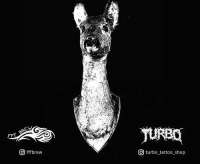 Пиво TURBO LAGER