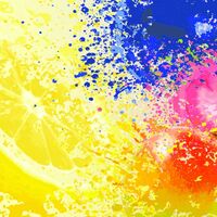 Пиво Blueberry Guava Mango Rural Minutes