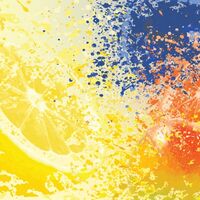 Пиво Blueberry Tangerine Mango Rural Minutes