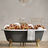Пиво Clawfoot Bathtub: Chocolate, Coconut, Almond