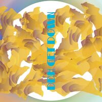 Пиво DDH Get Down