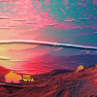 Пиво DDH WYA Пиво DDH WYA