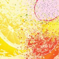 Пиво Dragonfruit Pineapple Blood Orange Rural Minutes