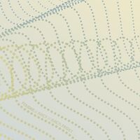 Пиво Foudre / Juicy / Pale / (FROST)