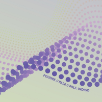 Пиво Foudre / Juicy / Pale / (INDIGO)