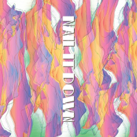 Пиво Nail It Down