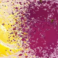 Пиво Plum Rural Minutes