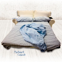 Пиво Pull Out Couch