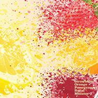 Пиво Strawberry Orange Pomegranate Rural Minutes