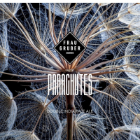 Пиво Parachutes