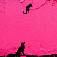 Пиво Defying Gravity Пиво Defying Gravity